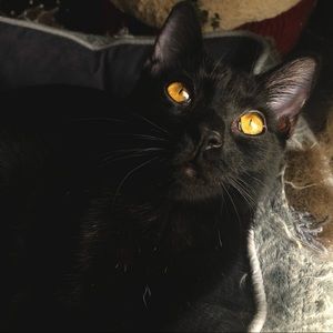 Meet your Posher, Mei